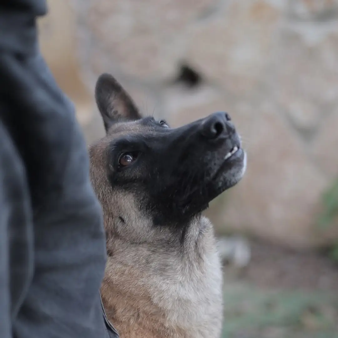 LIOR8720.MP4_snaGGpshot_00.00.000