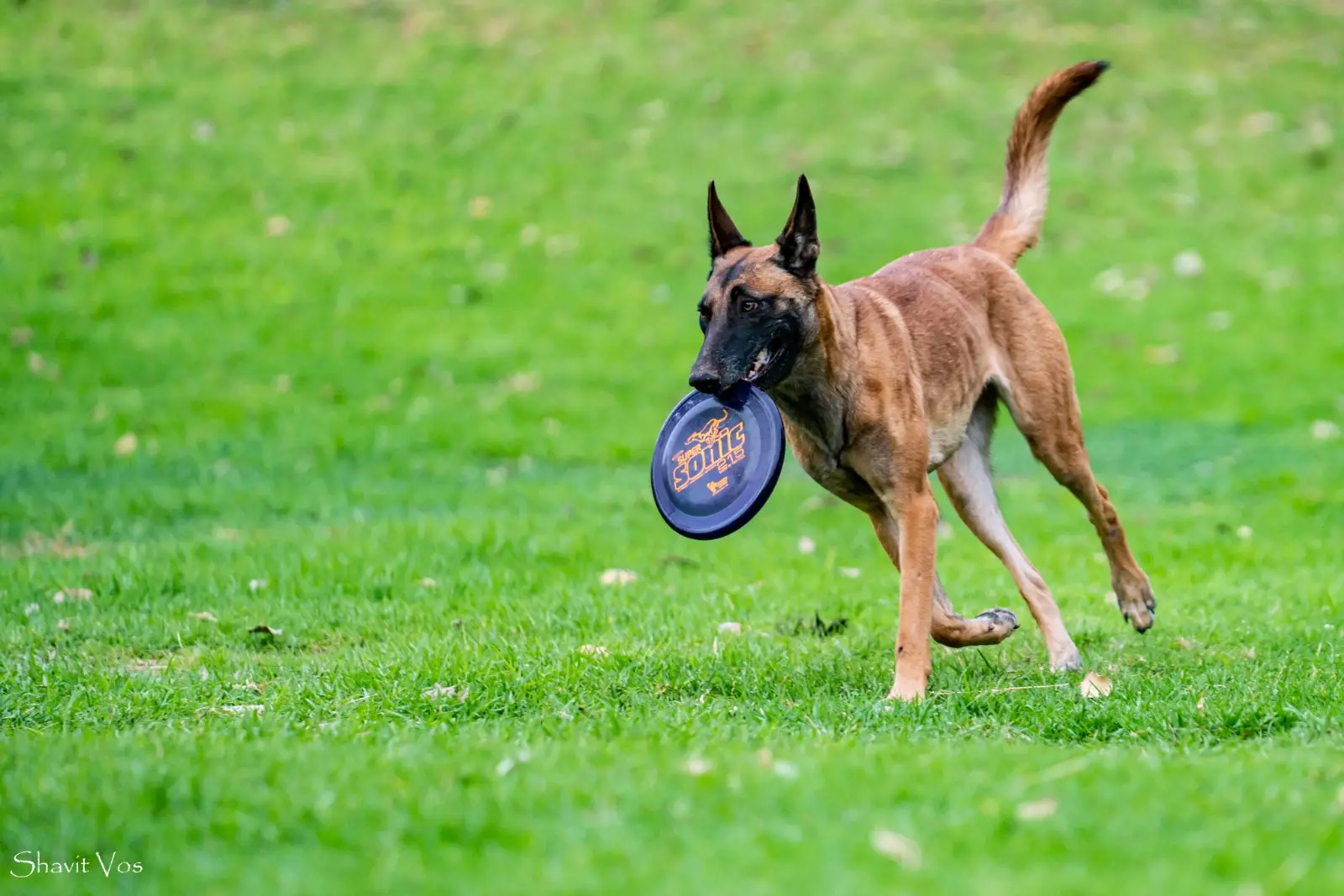 WhatsApp Image 2025-07-27 at 19.34.19