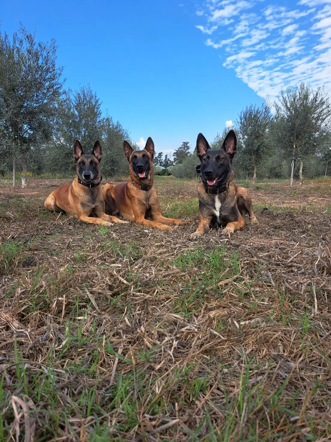 WhatsApp Image 2025-07-27 at 19.34.20