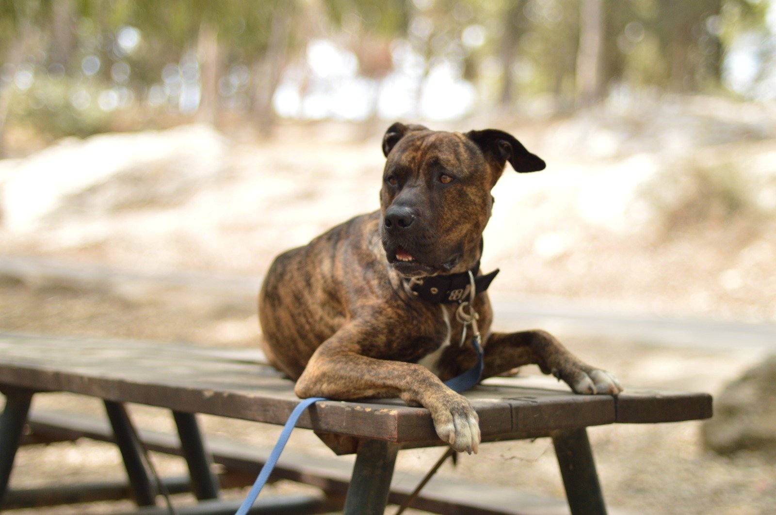 WhatsApp Image 2025-07-27 at 19.34.21 (1)