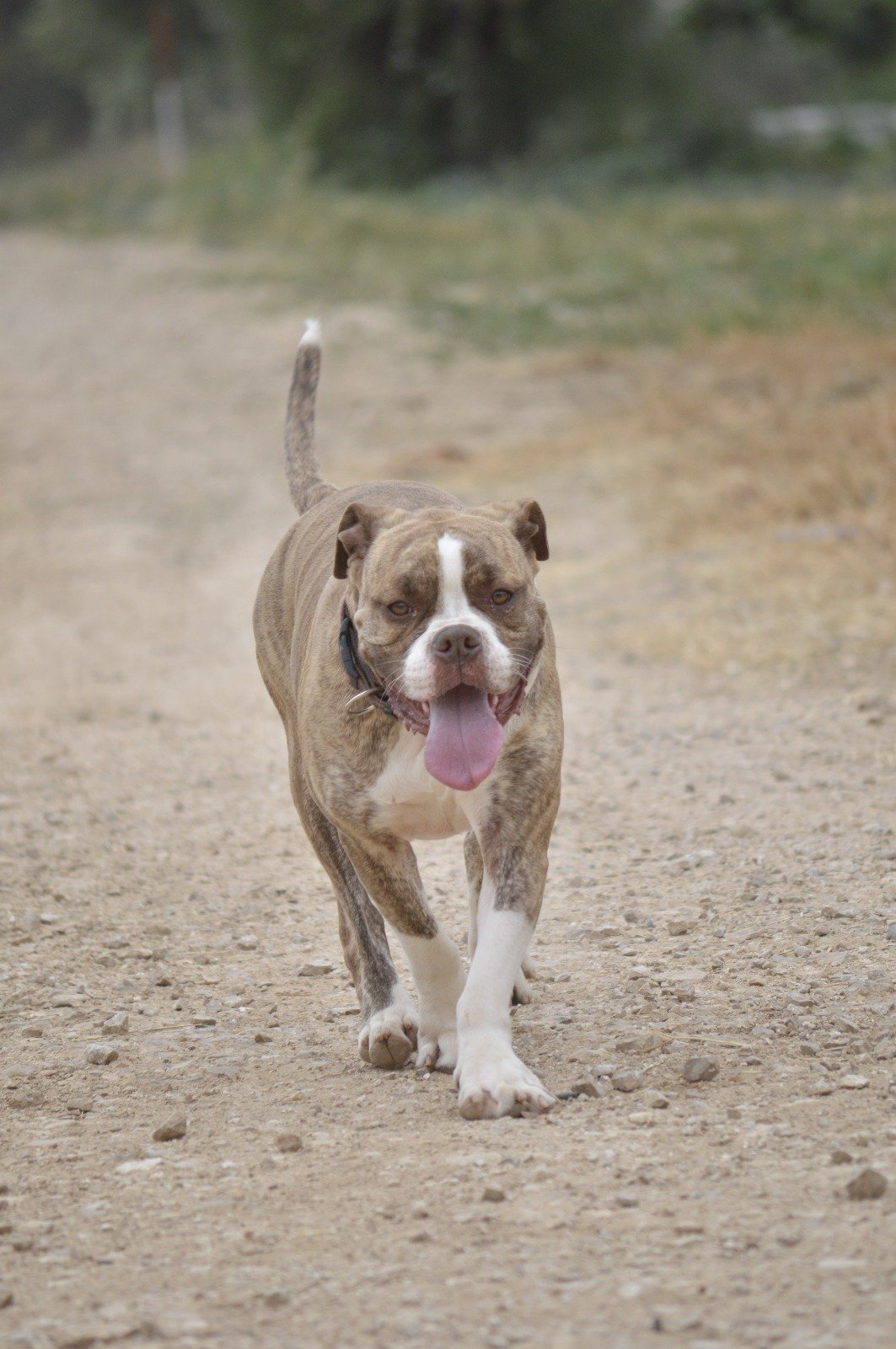 WhatsApp Image 2025-07-27 at 19.34.22