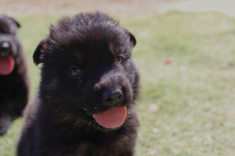 f512f6ce-b24c-4290-b8fa-5e63d5a33090